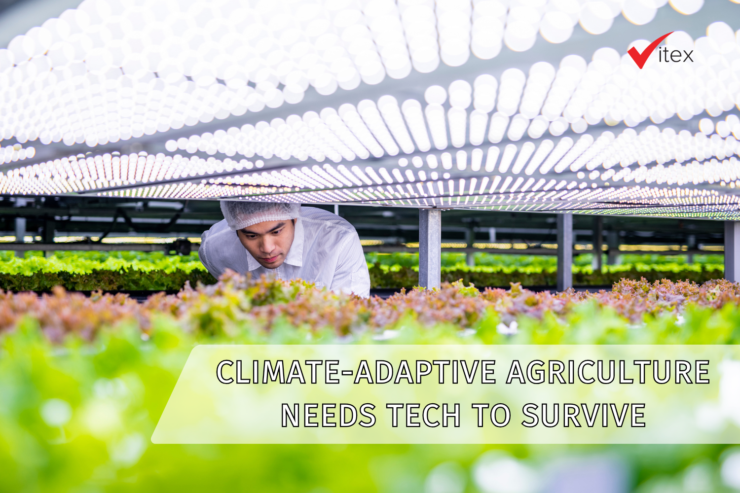 Climate-Adaptive Agriculture Needs Tech to Survive