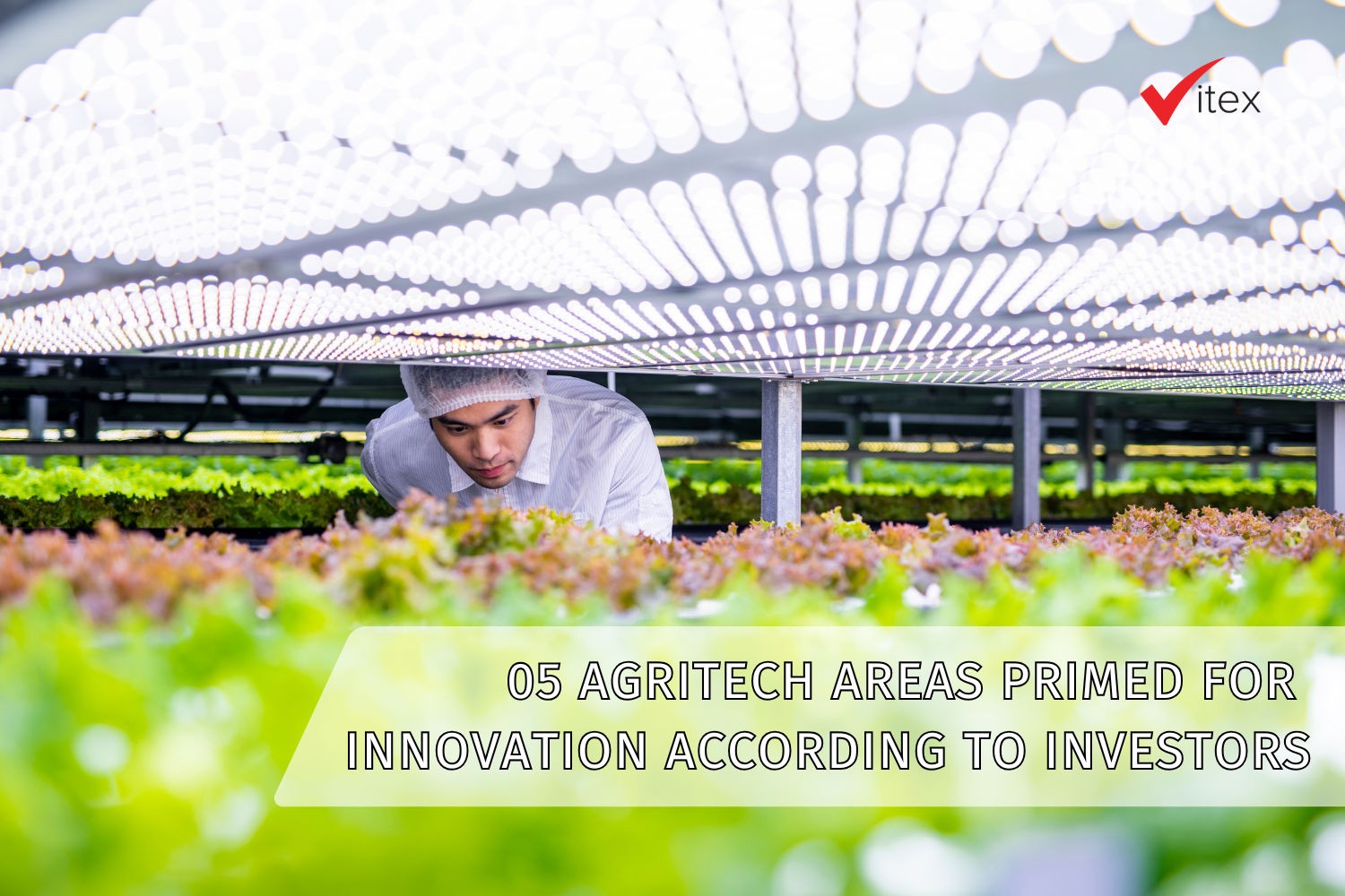 05 Areas That Investors Expect to See the Next Agriculture Innovation