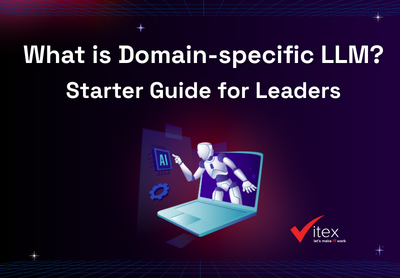 What is Domain-specific LLM? Overview about DSLLM