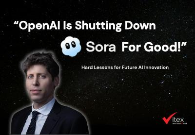 SORA Shutdown: Hard Lessons for Future AI Innovation